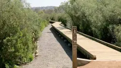 County to work with Navy to rehab part of Tijuana River Valley Regional Park