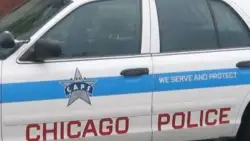 Woman shot in head, killed on Near West Side: police